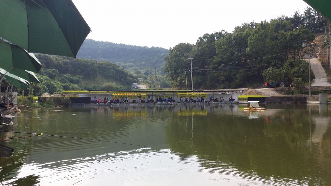 20150920_150207.jpg