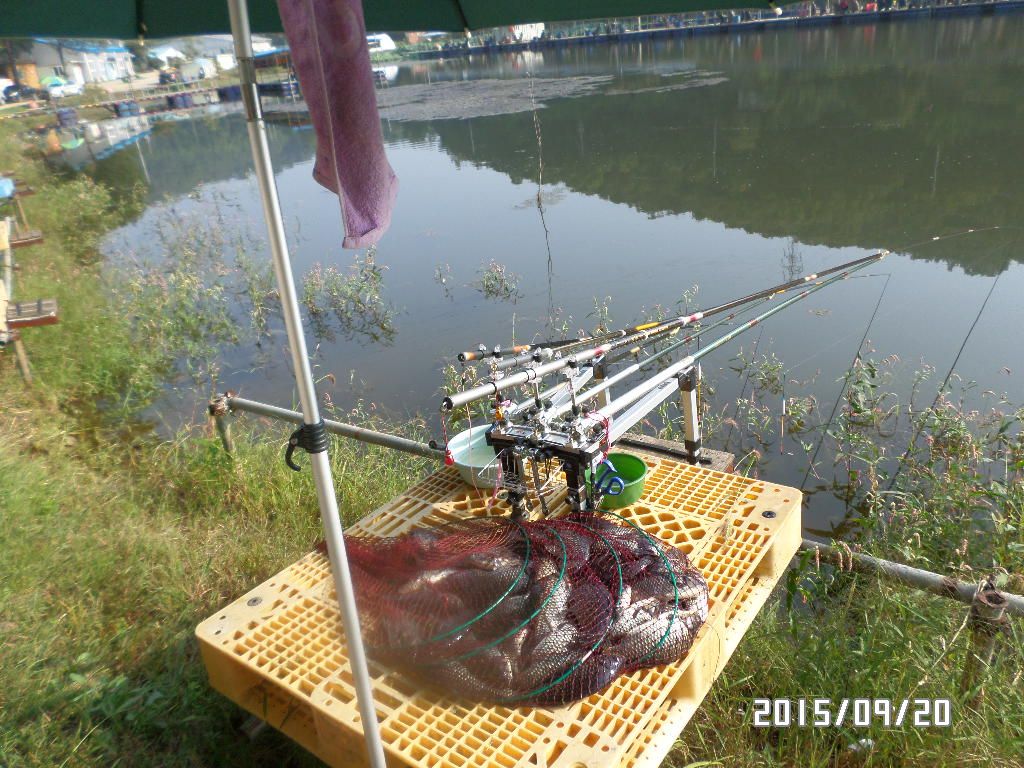 SAM_0454.JPG