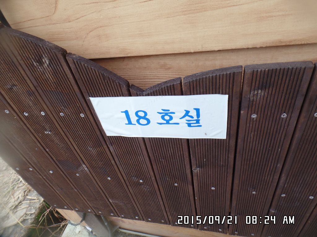 SAM_9379.JPG