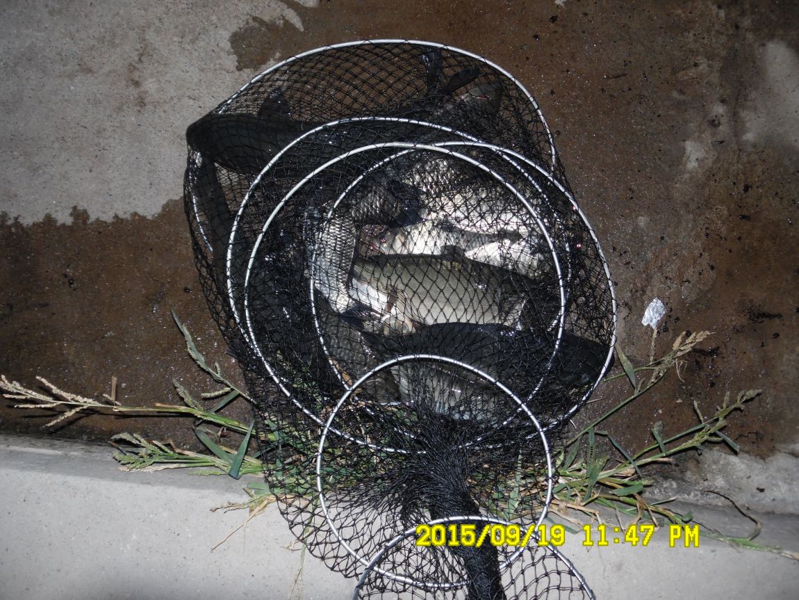 9��19��~20�� 001.JPG