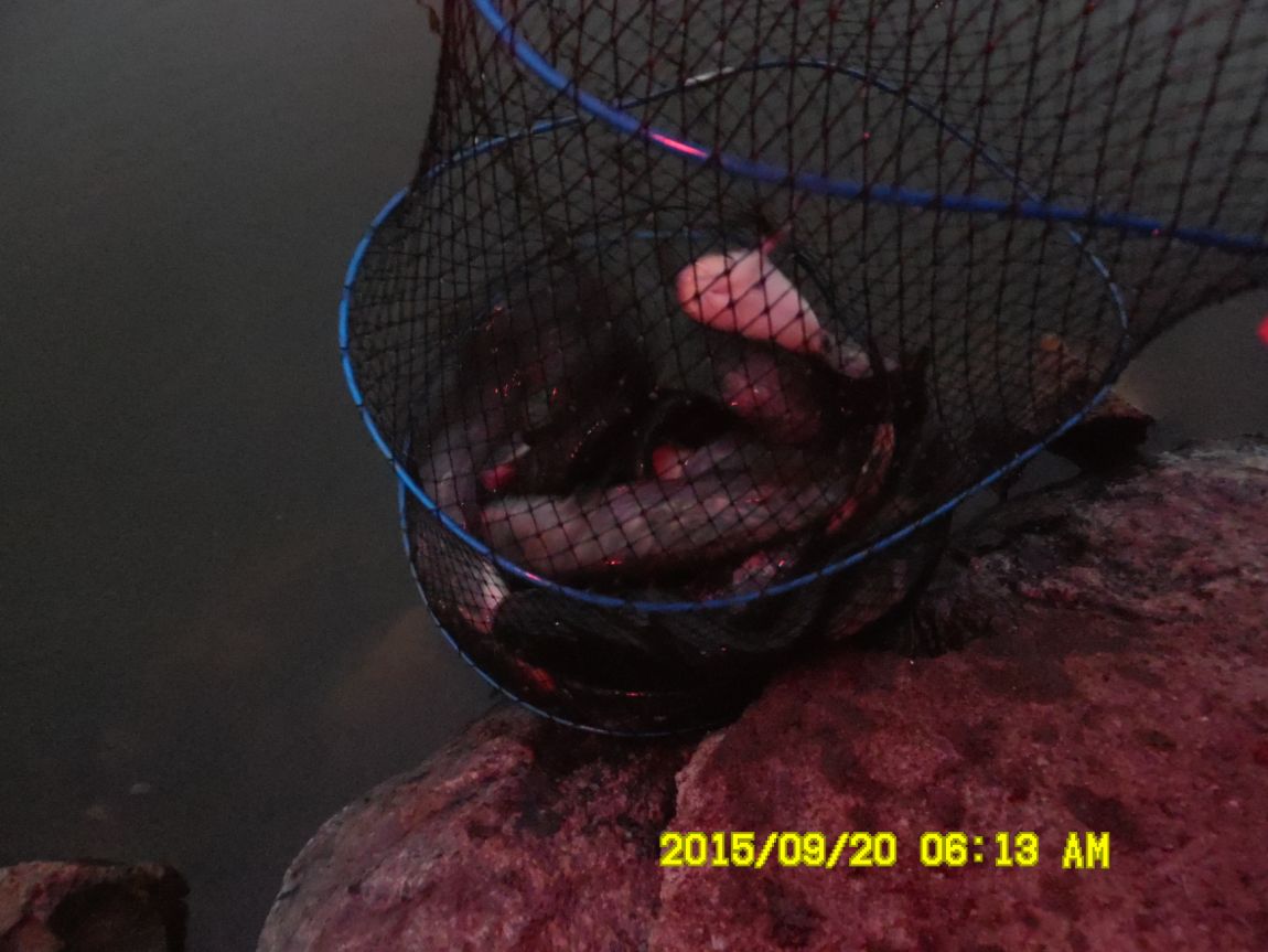 9��19��~20�� 003.JPG