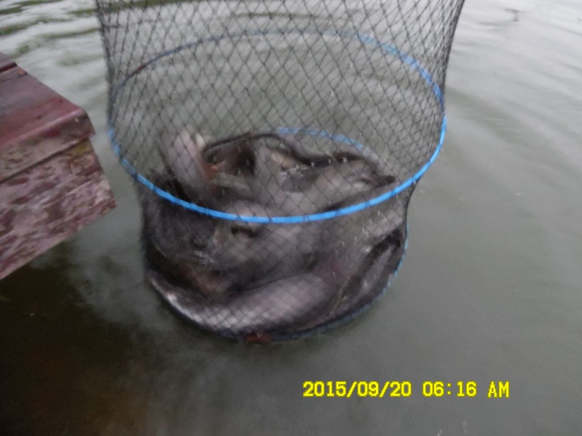 9��19��~20�� 007.JPG