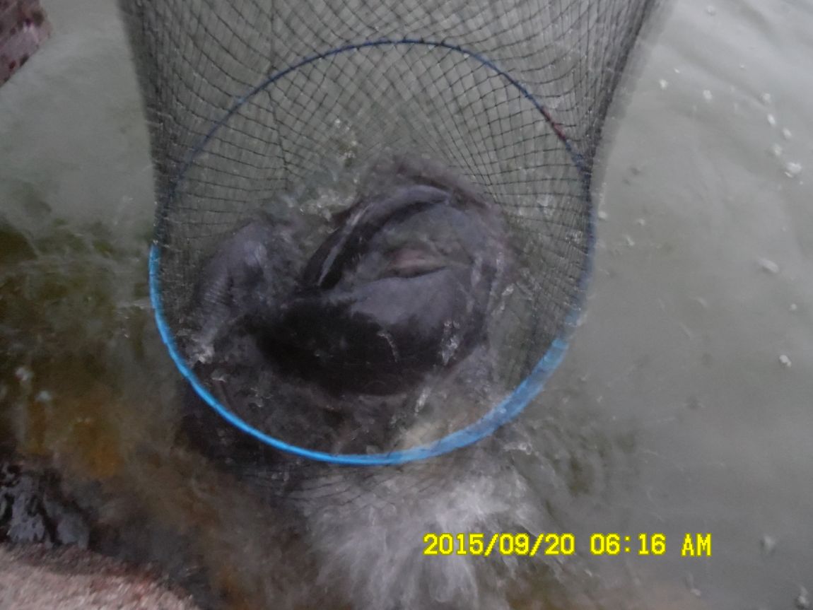 9��19��~20�� 008.JPG