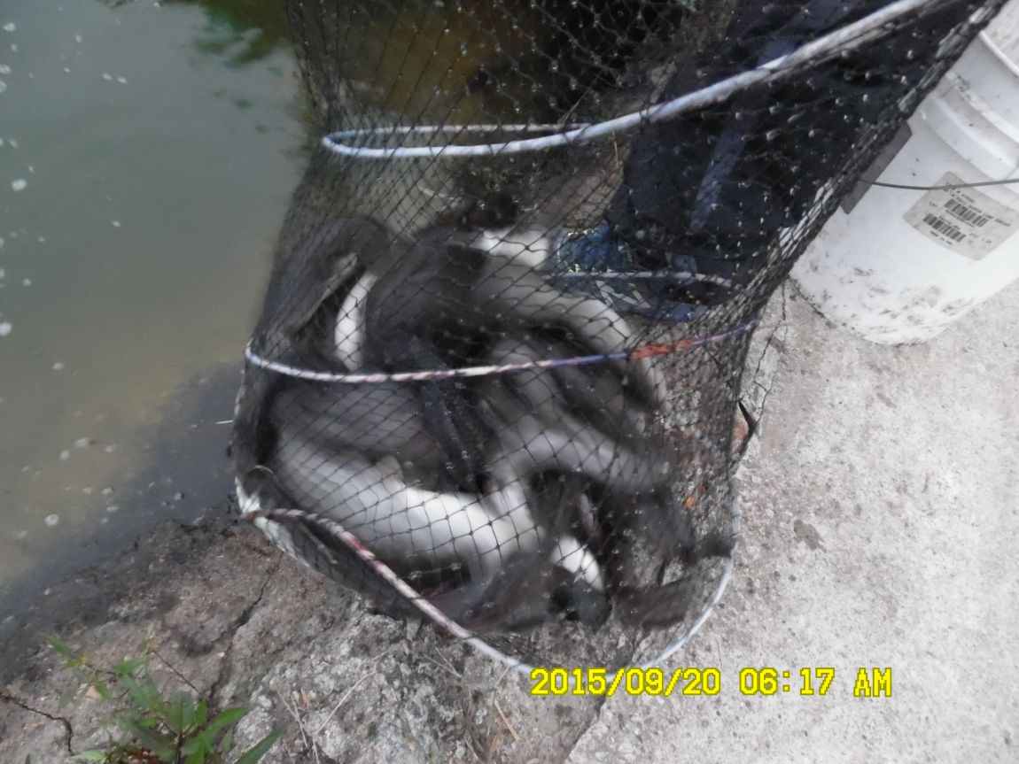 9��19��~20�� 010.JPG