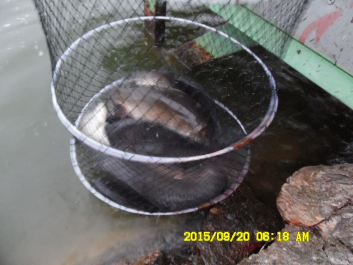 9��19��~20�� 011.JPG