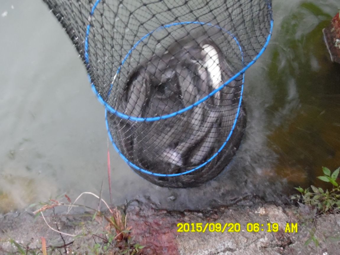 9��19��~20�� 013.JPG