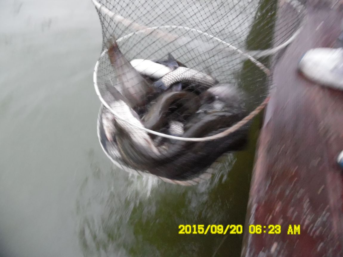 9��19��~20�� 015.JPG