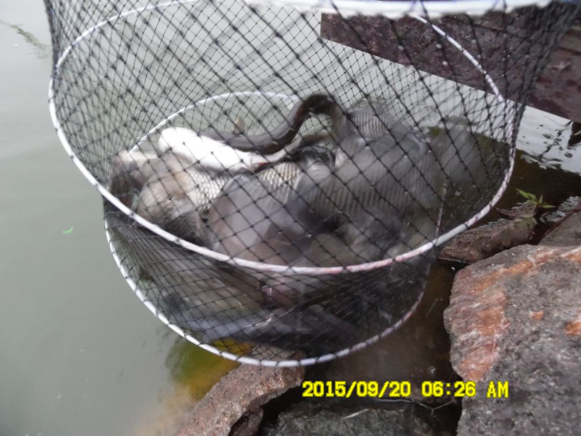 9��19��~20�� 018.JPG