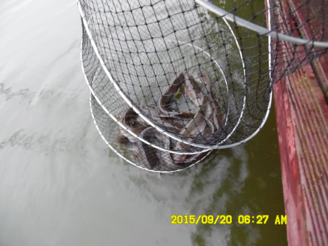 9��19��~20�� 020.JPG