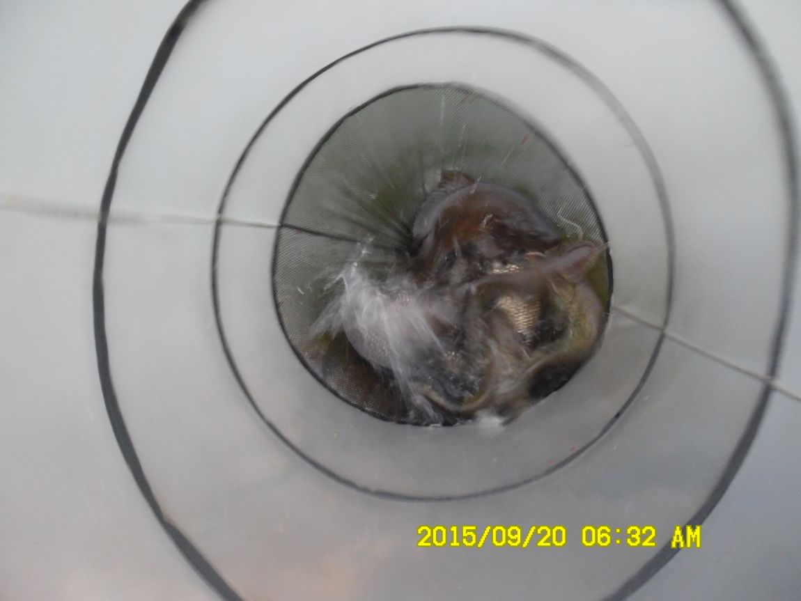 9��19��~20�� 022.JPG