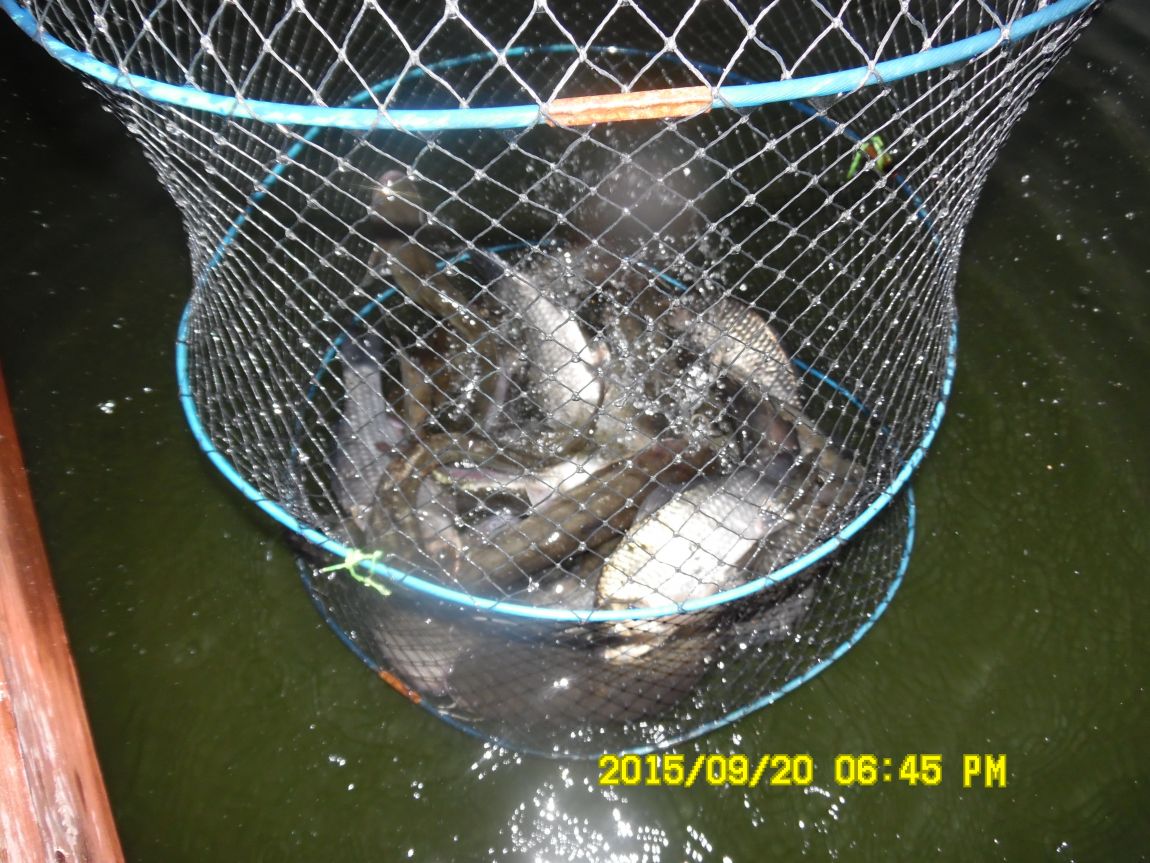 9��19��~20�� 024.JPG