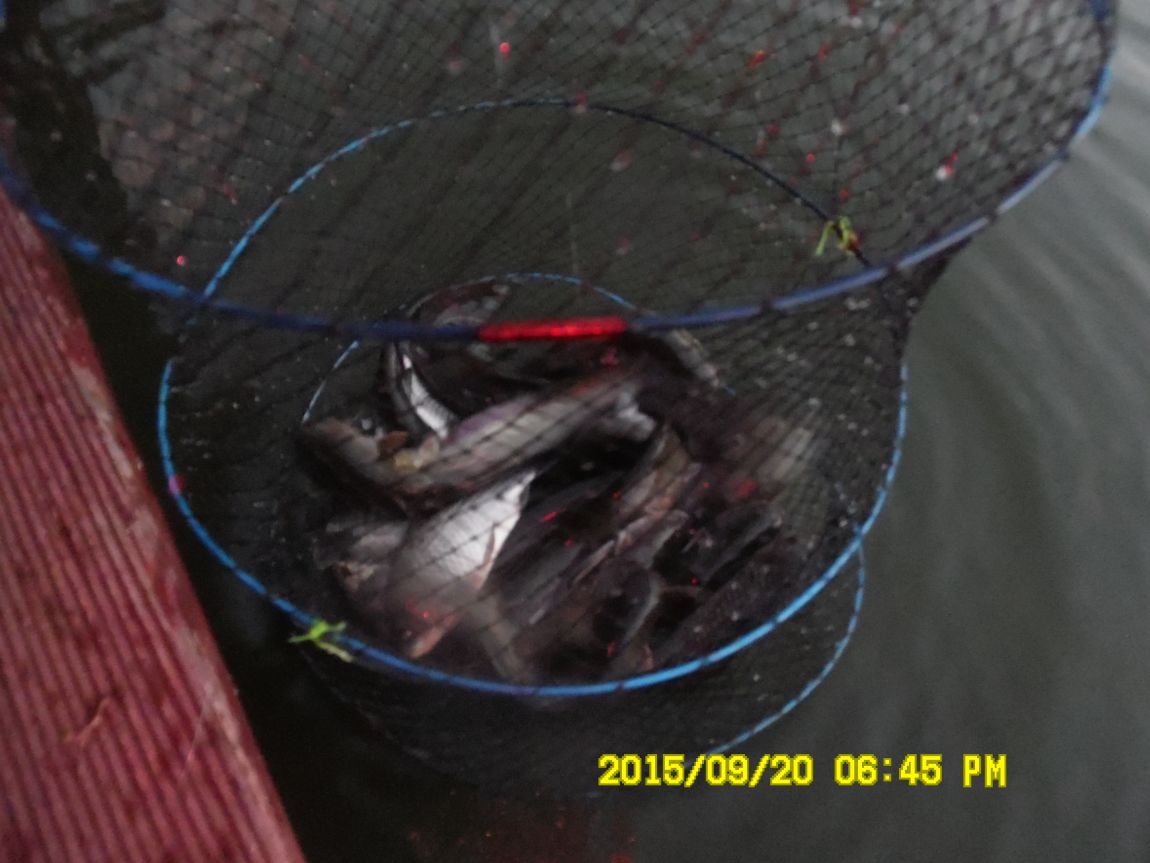 9��19��~20�� 025.JPG