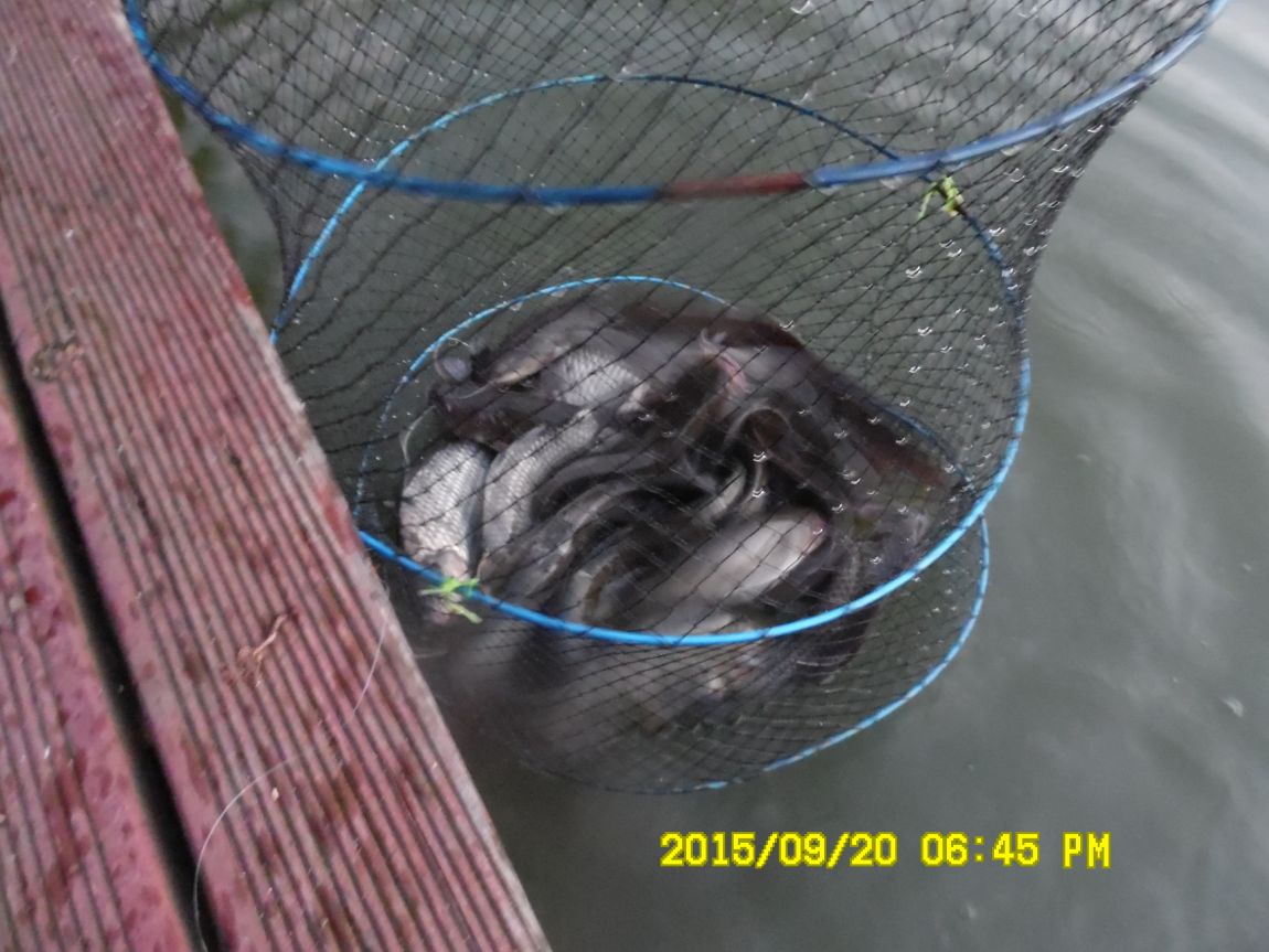 9��19��~20�� 026.JPG