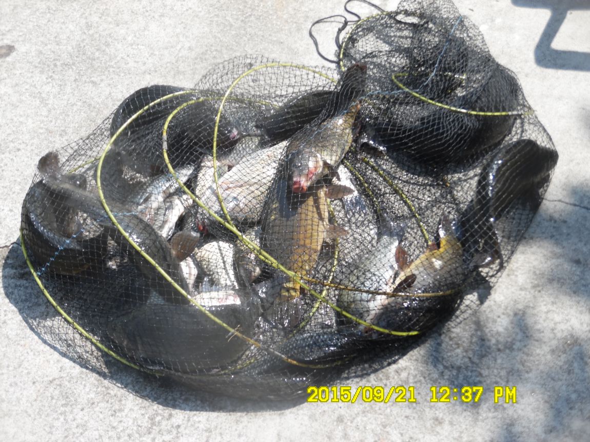 9��20��~21�� 002.JPG