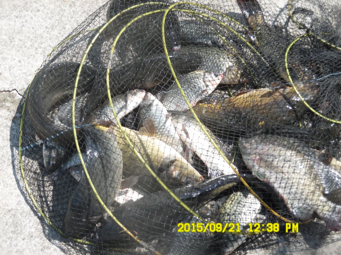 9��20��~21�� 003.JPG