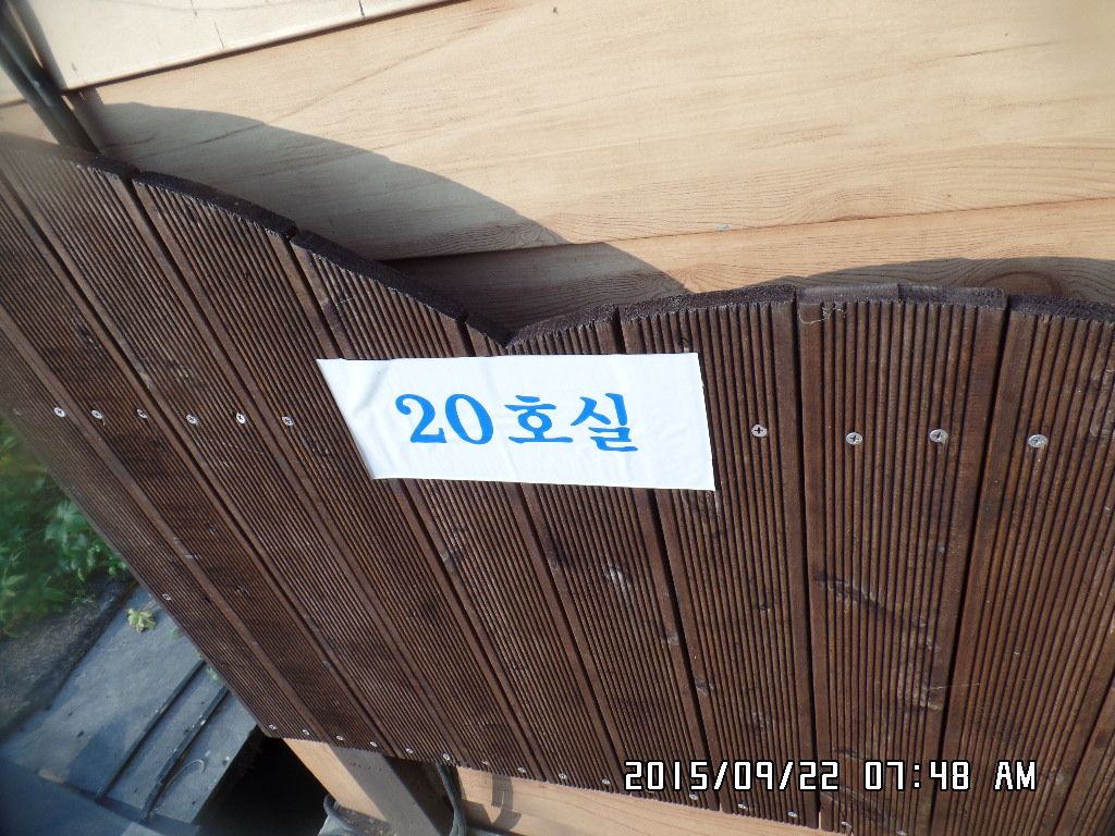 SAM_9409.JPG