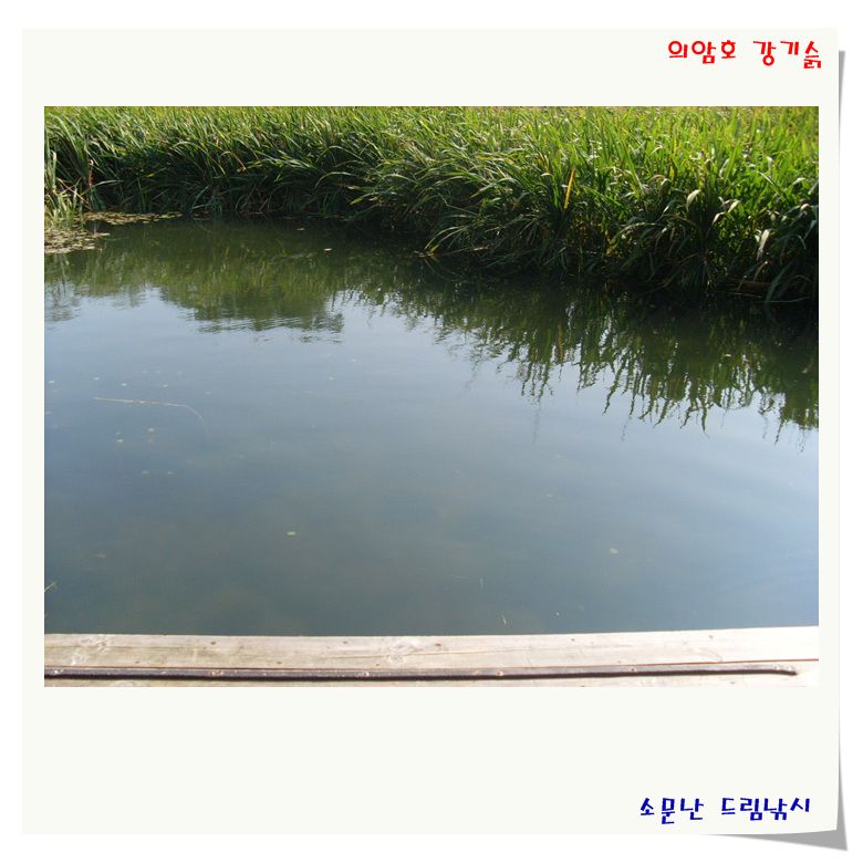 SL380819.jpg