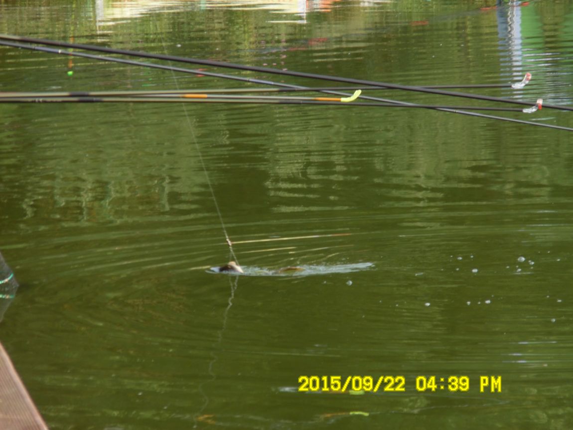 921~22 012.JPG