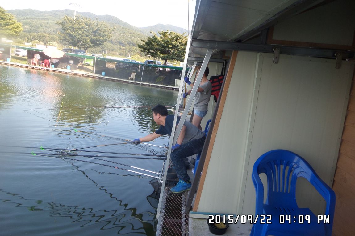 SAM_0782.JPG