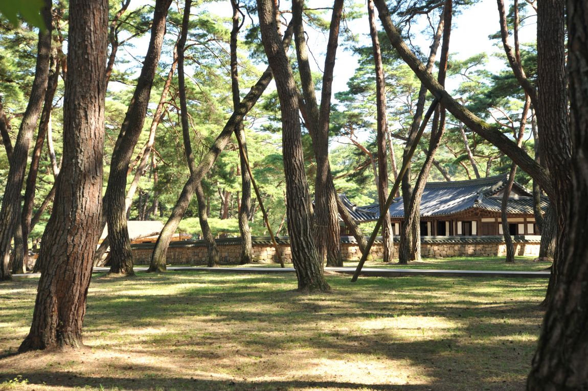 DSC_6473.JPG