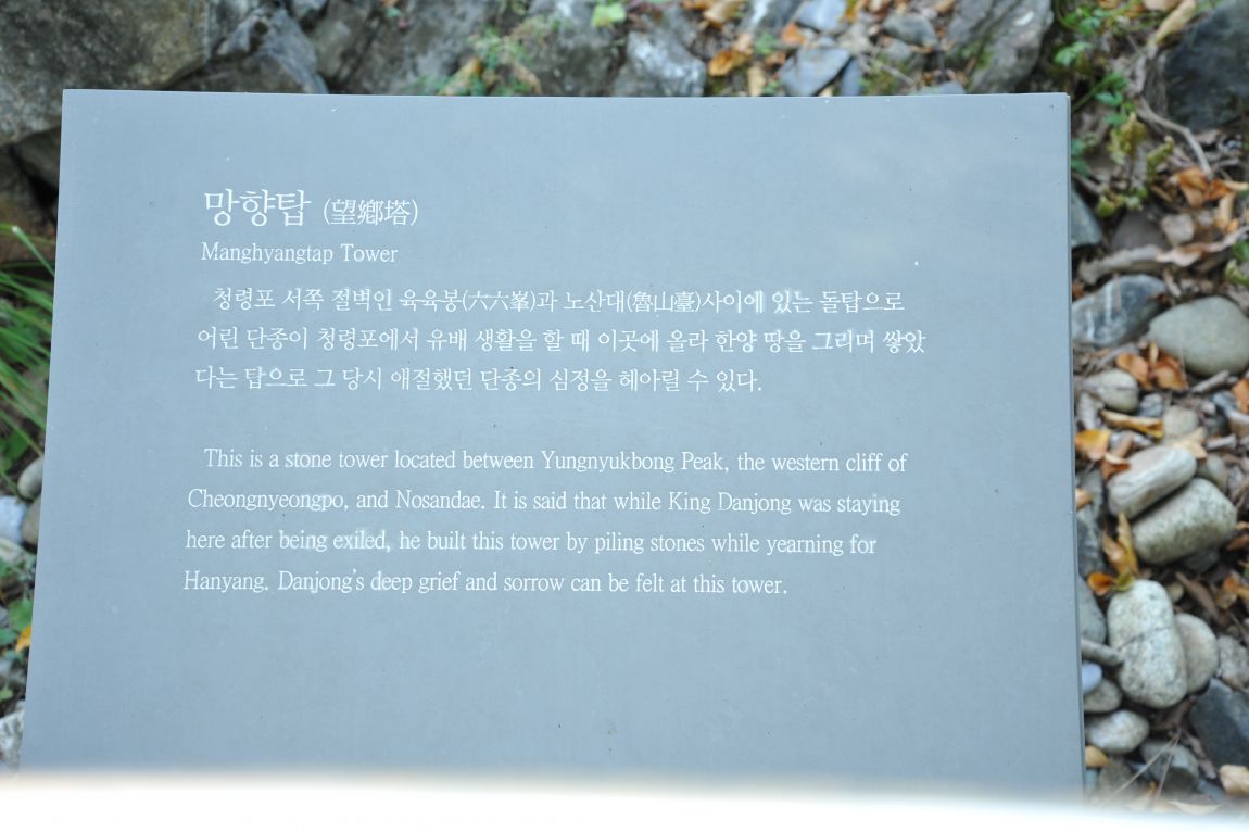 DSC_6446.JPG