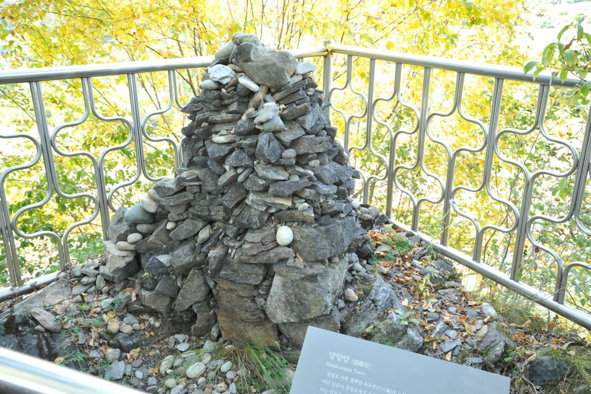 DSC_6447.JPG