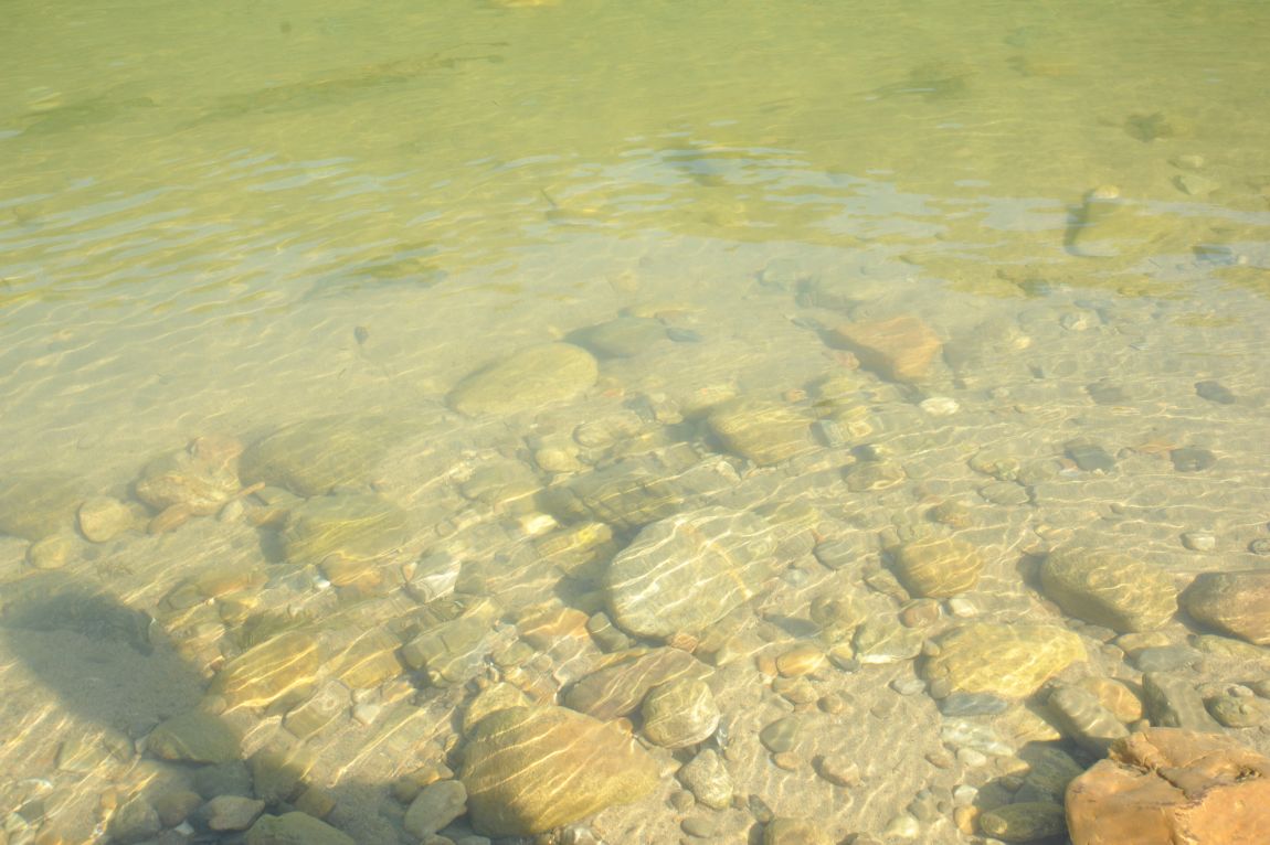 DSC_6474.JPG