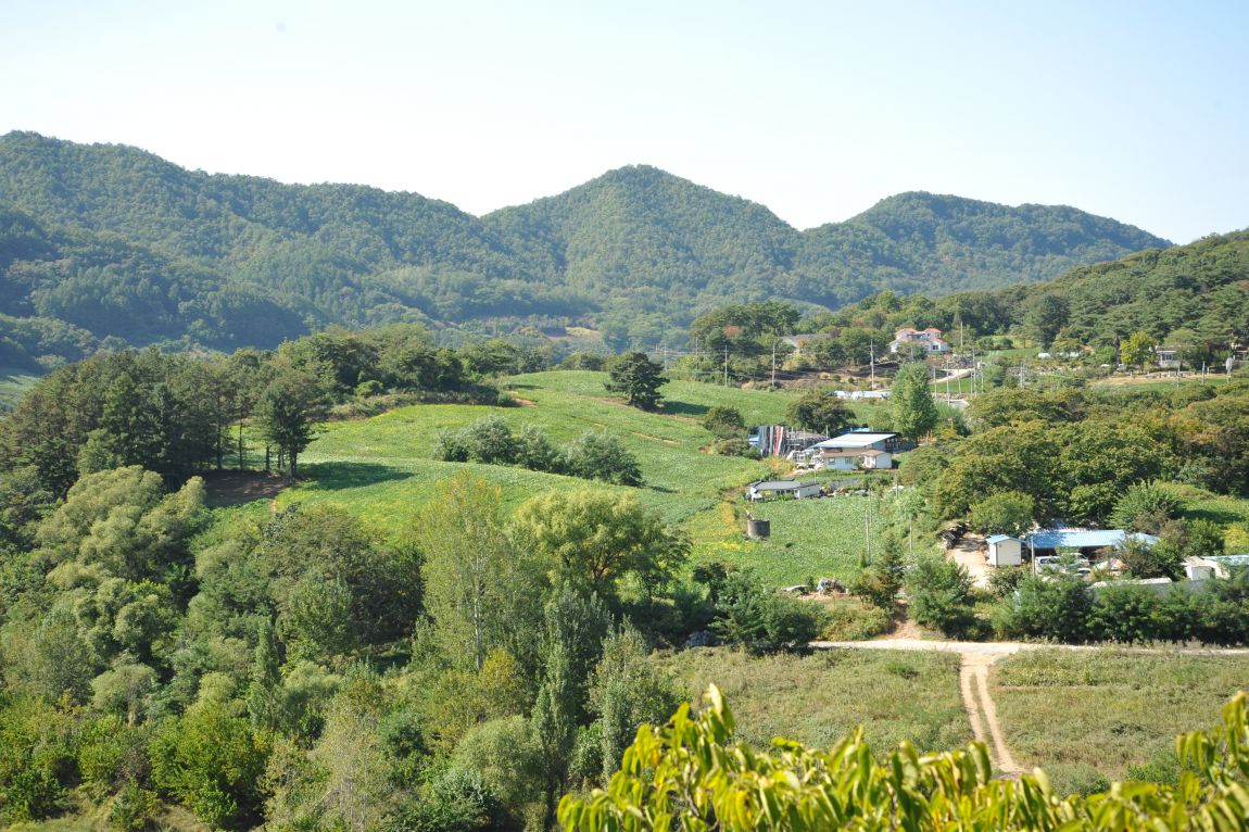 DSC_6453.JPG