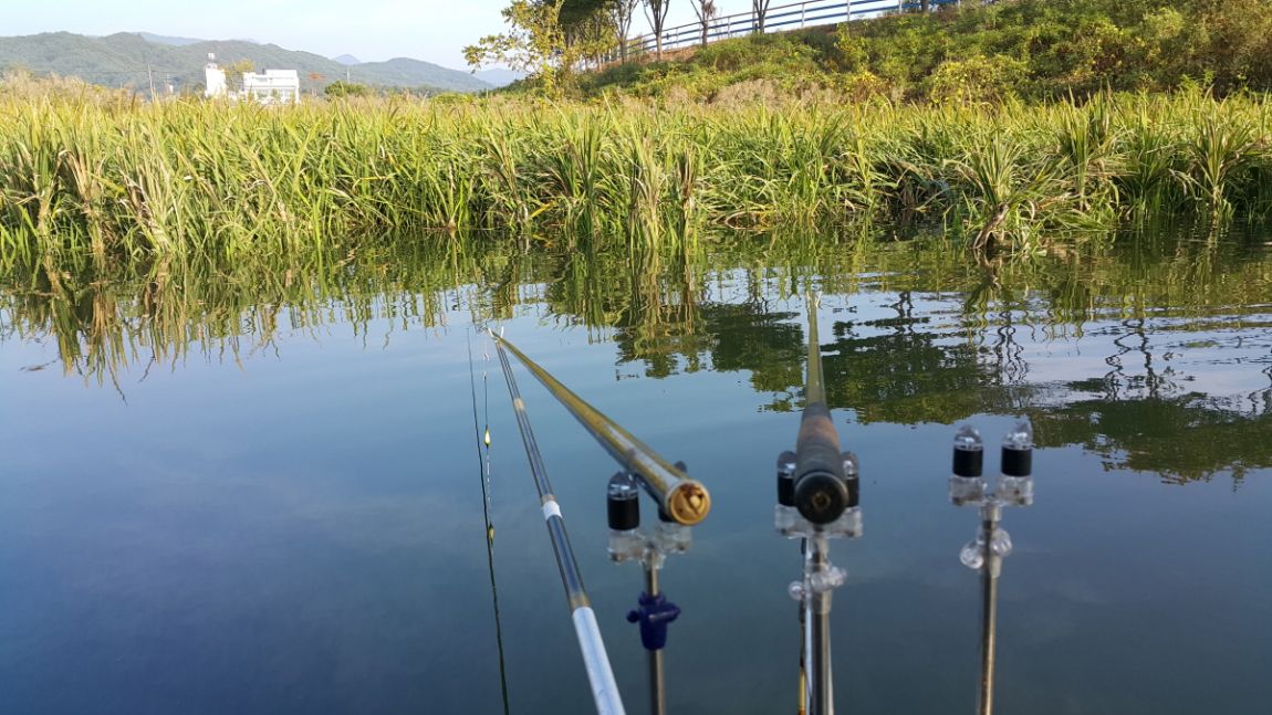 20150924_082045.jpg