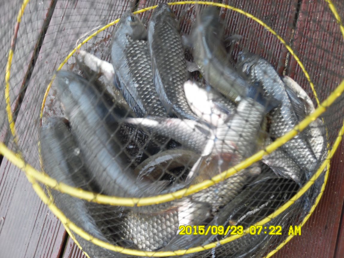 9��22��~24�� 003.JPG