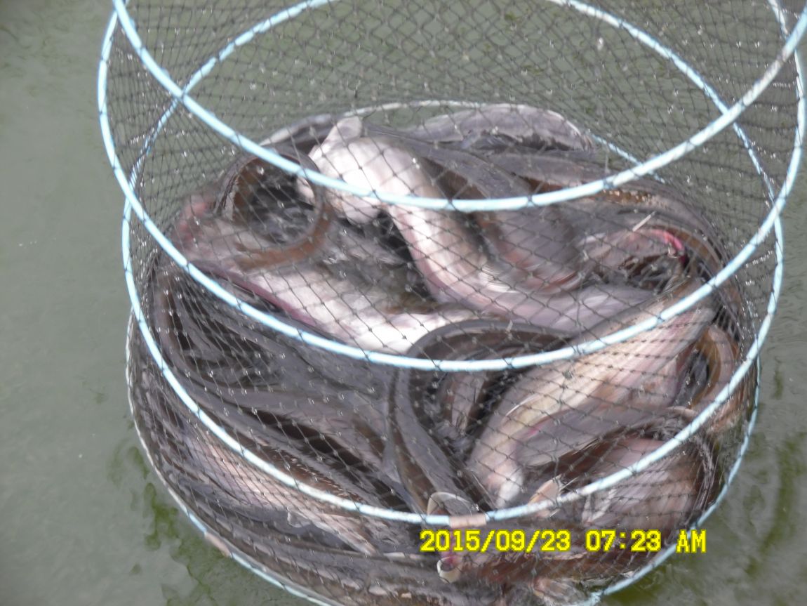 9��22��~24�� 005.JPG