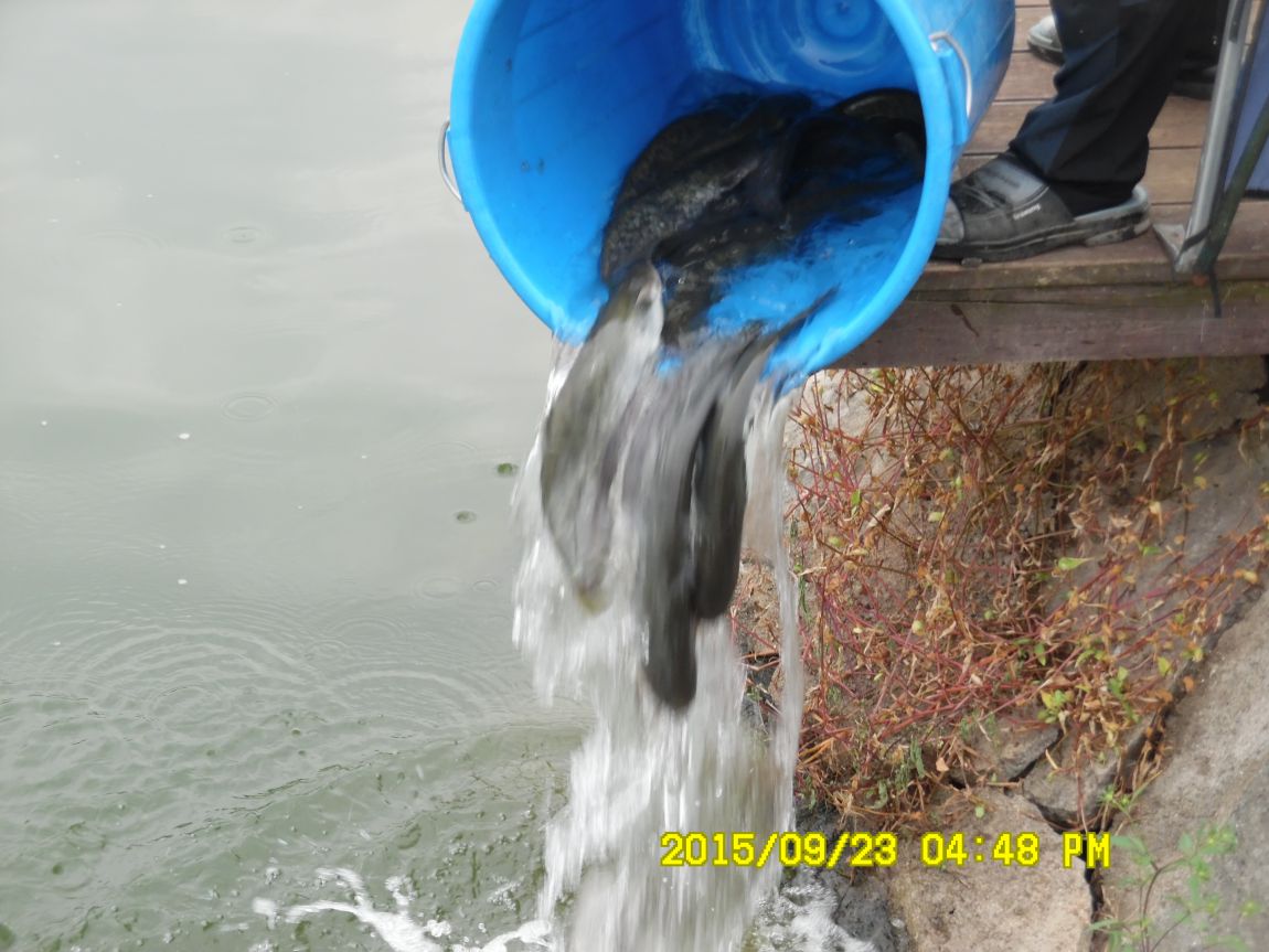 9��22��~24�� 010.JPG