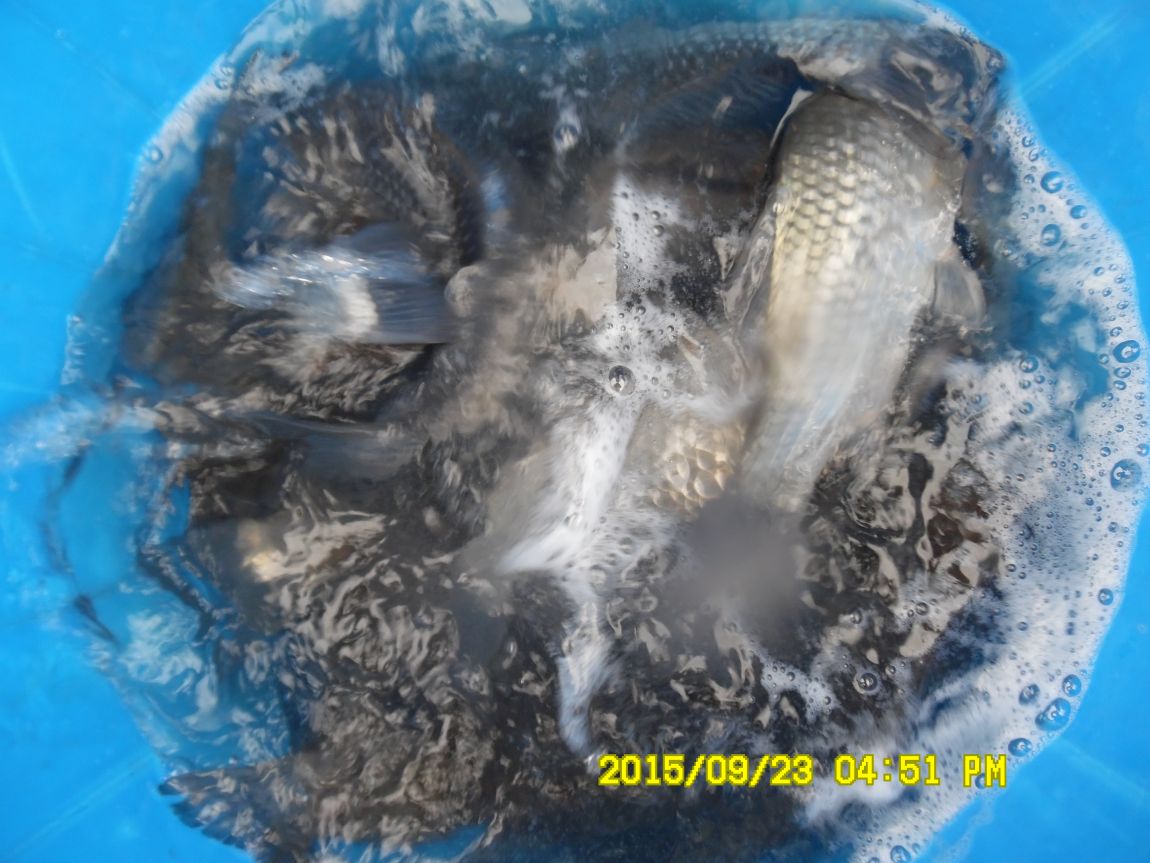 9��22��~24�� 011.JPG