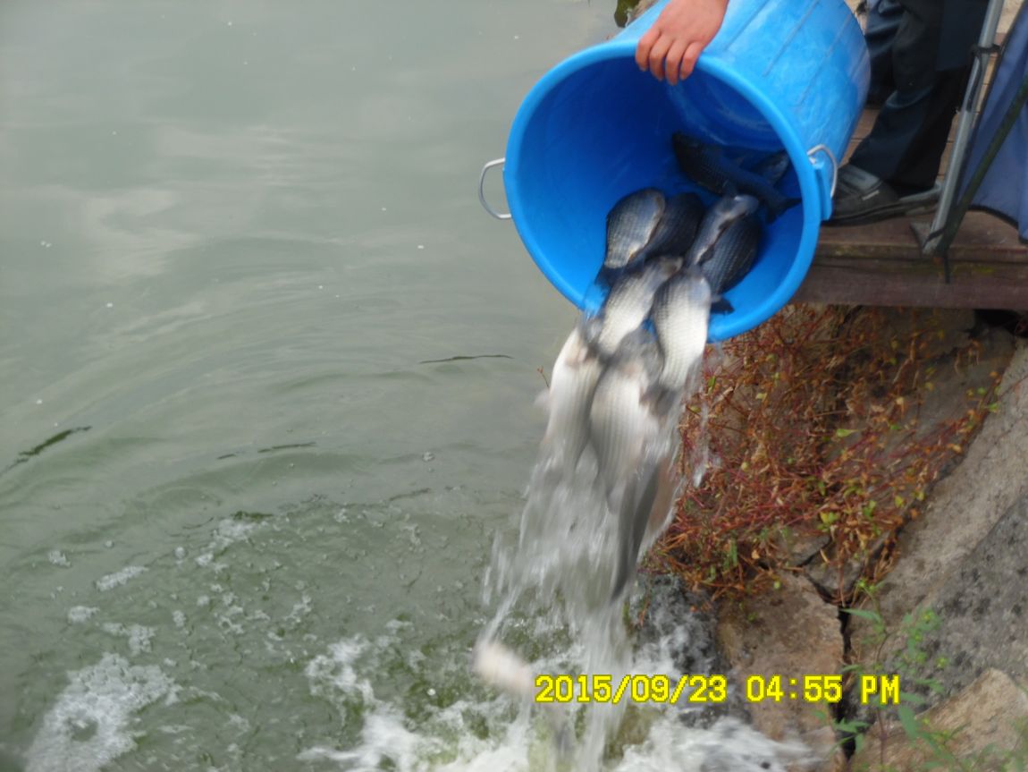 9��22��~24�� 013.JPG