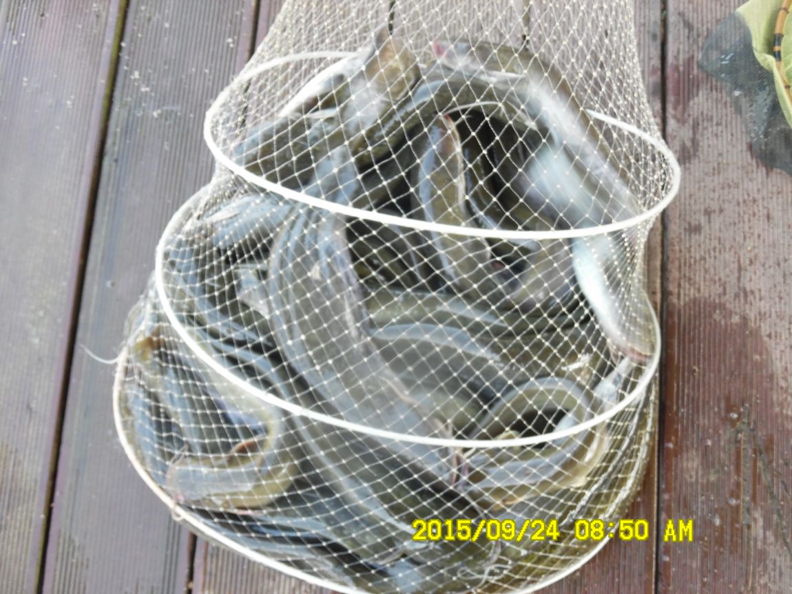 9��22��~24�� 016.JPG