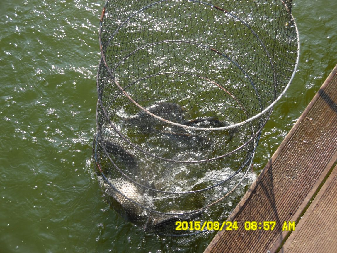 9��22��~24�� 017.JPG