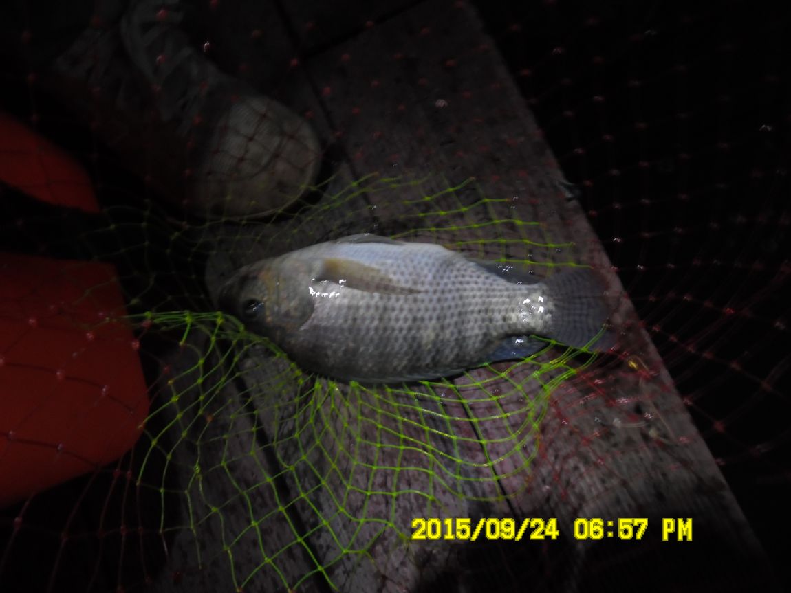 9��22��~24�� 022.JPG