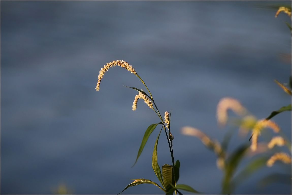 1409928276_2216.jpg