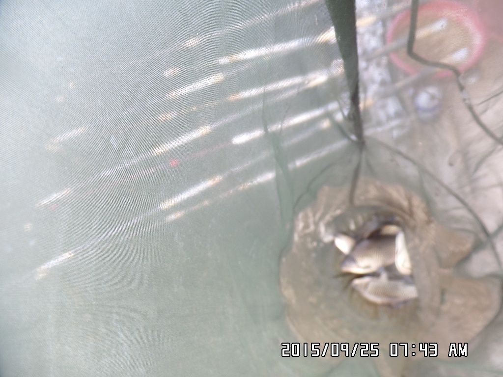 SAM_9517.JPG