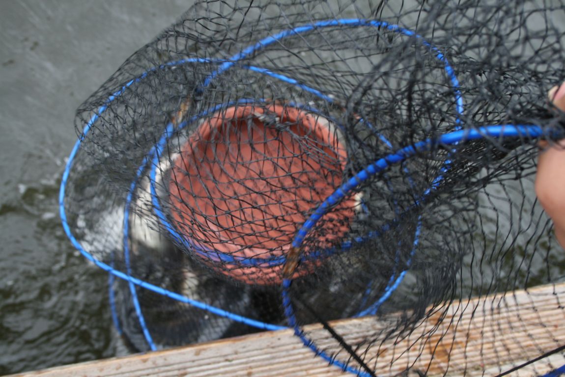 IMG_3707.JPG