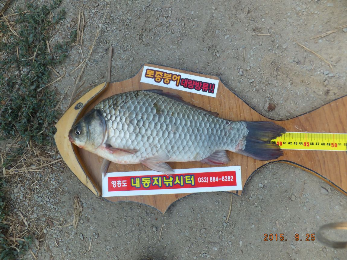 201300703 049.jpg