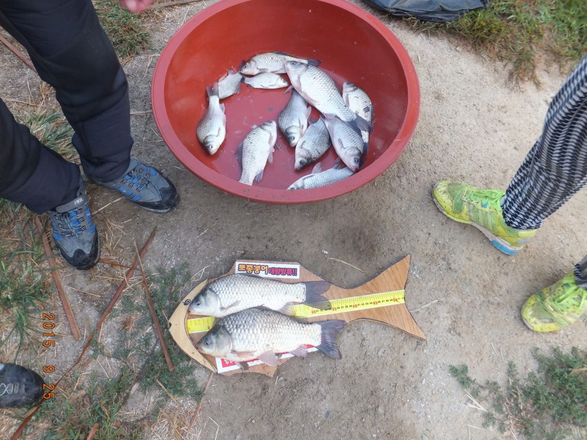 201300703 038.jpg