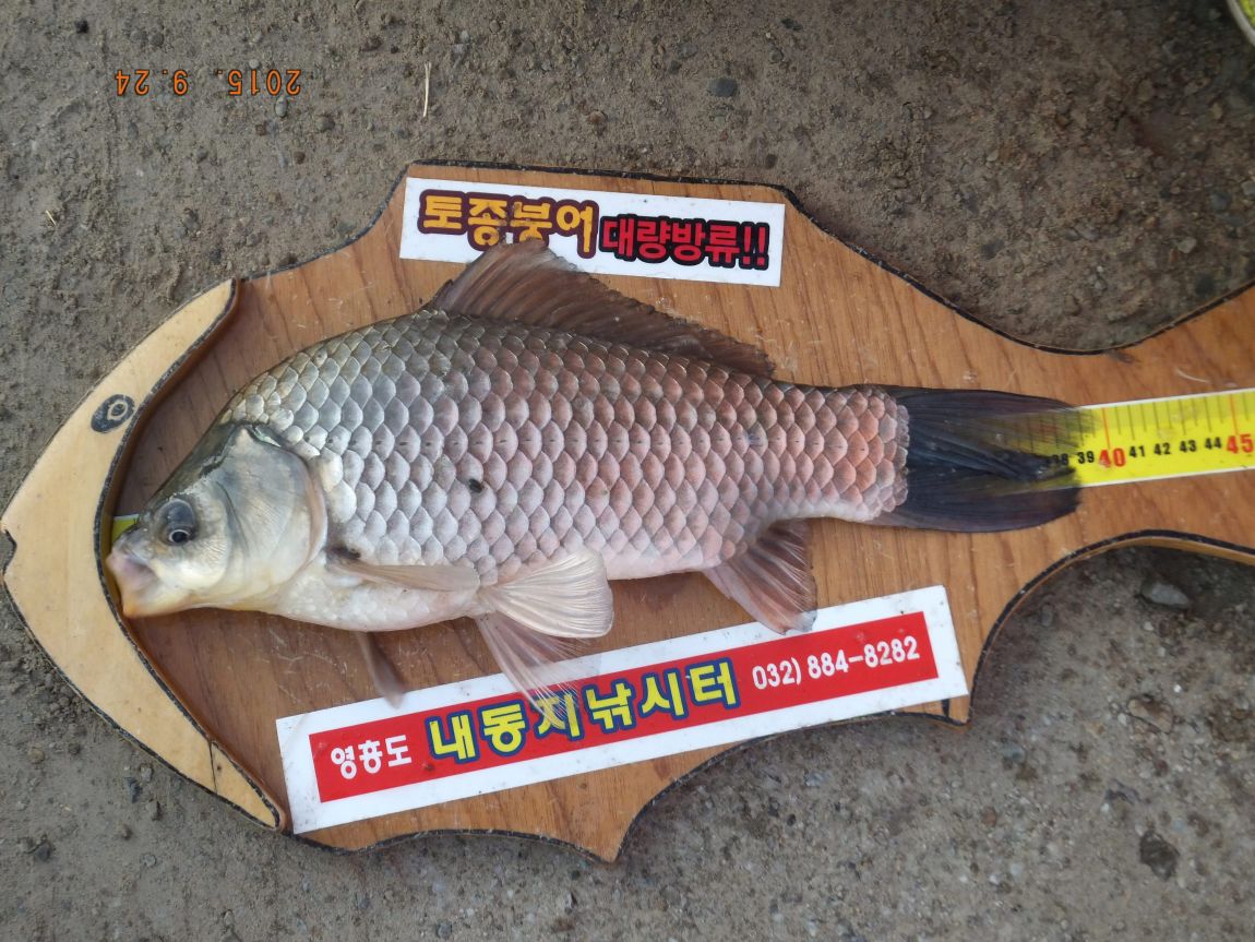 201300703 026.jpg