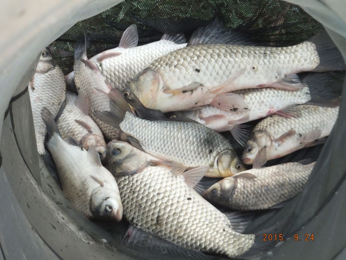 201300703 007.jpg