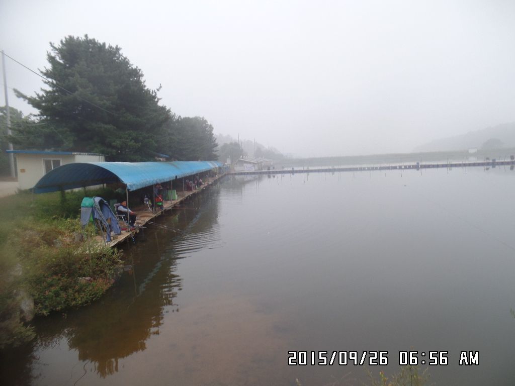SAM_9530.JPG