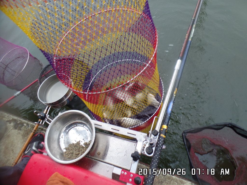 SAM_9560.JPG