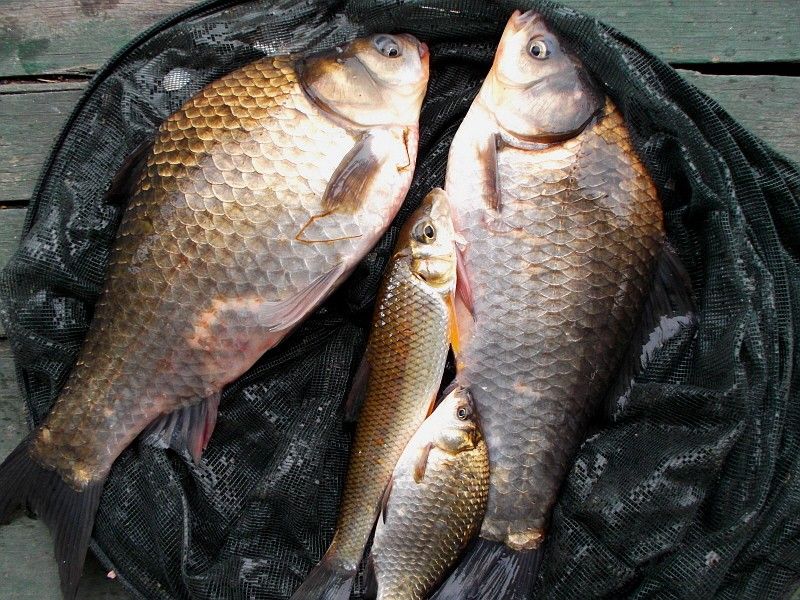 04.jpg