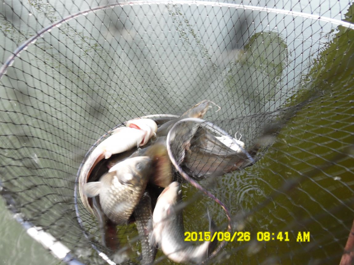 9��25��~26�� 012.JPG