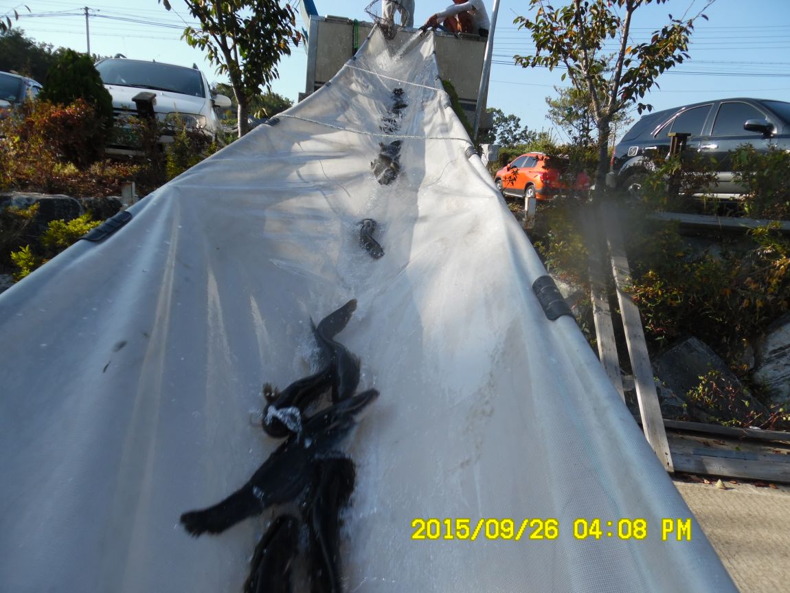 9��25��~26�� 016.JPG