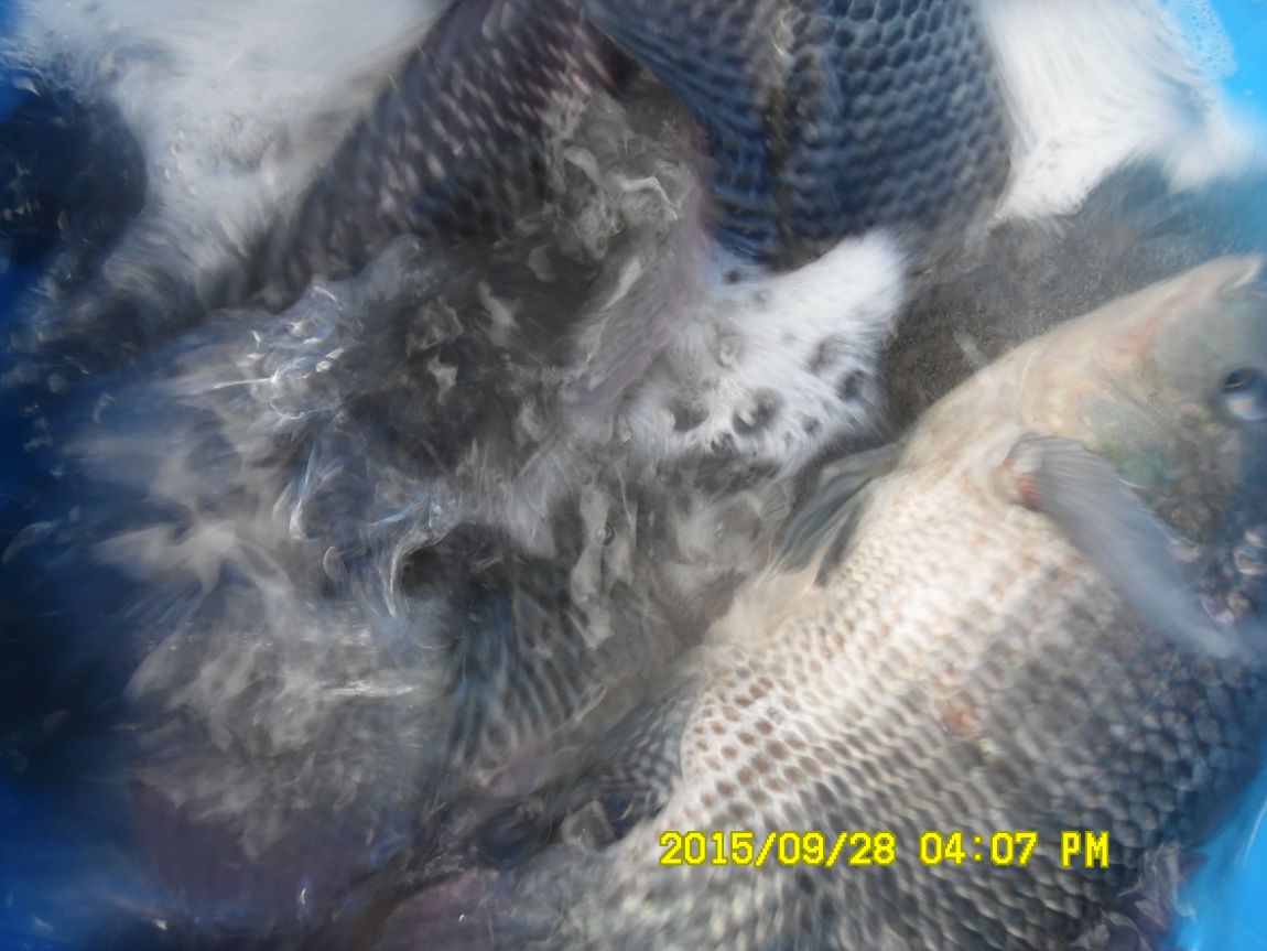 9��26��~28�� 032.JPG